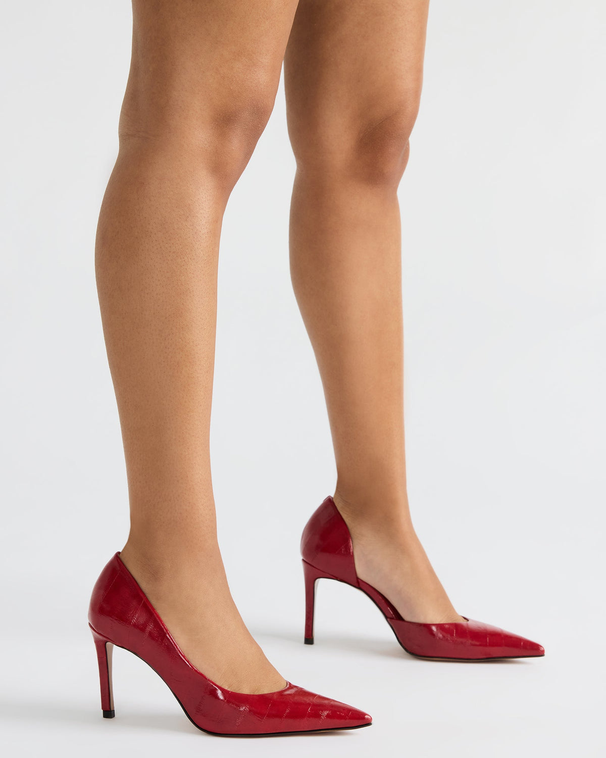 Steve Madden NULA Zebra Pointed-Toe Stiletto Pump Women's Heel