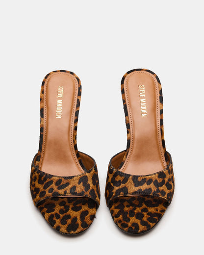 Steve Madden KENDRIX Leopard Women's Mule Heel
