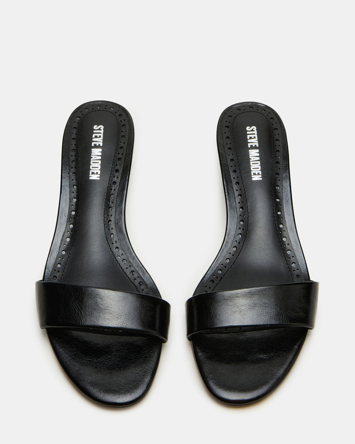 Steve Madden BERRY Black Women's Mule Kitten Heel