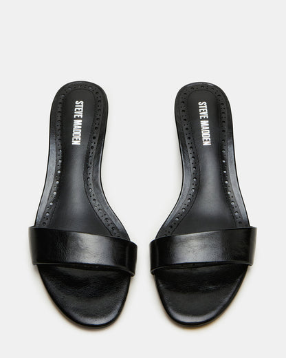 Steve Madden BERRY Black Women's Mule Kitten Heel
