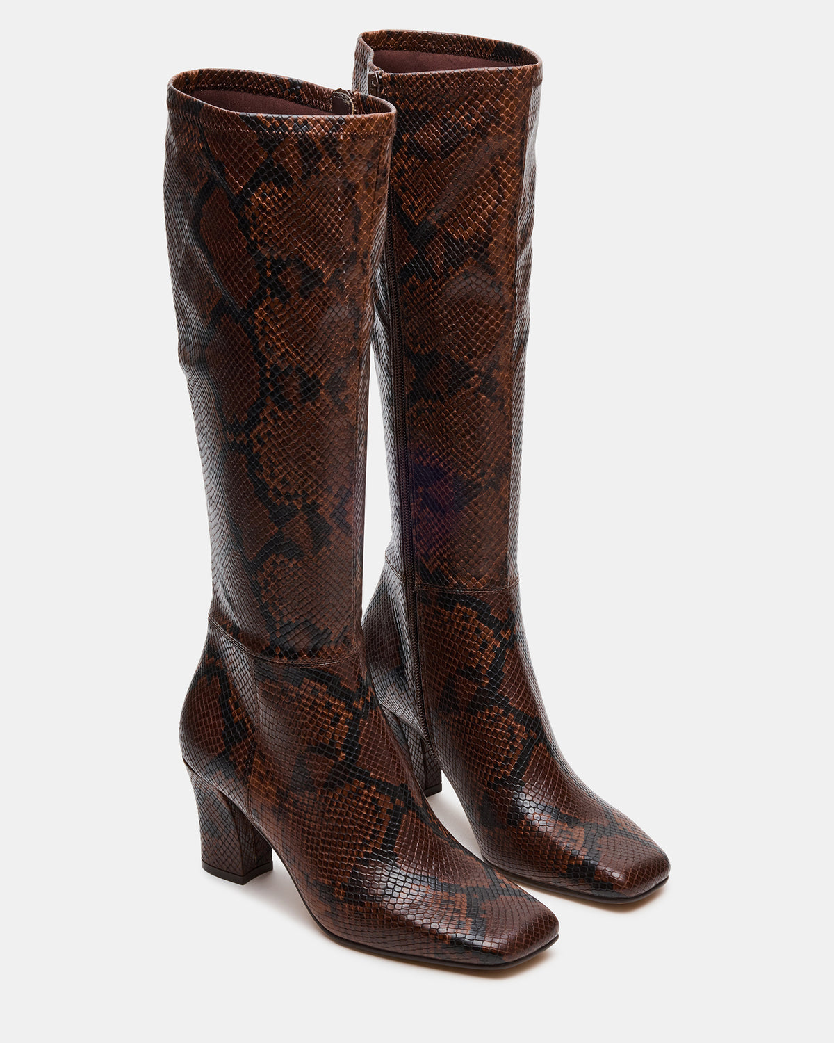 Steve Madden ELLIOT Brown Snake Square-Toe Knee-High Block Heel Women's Boot