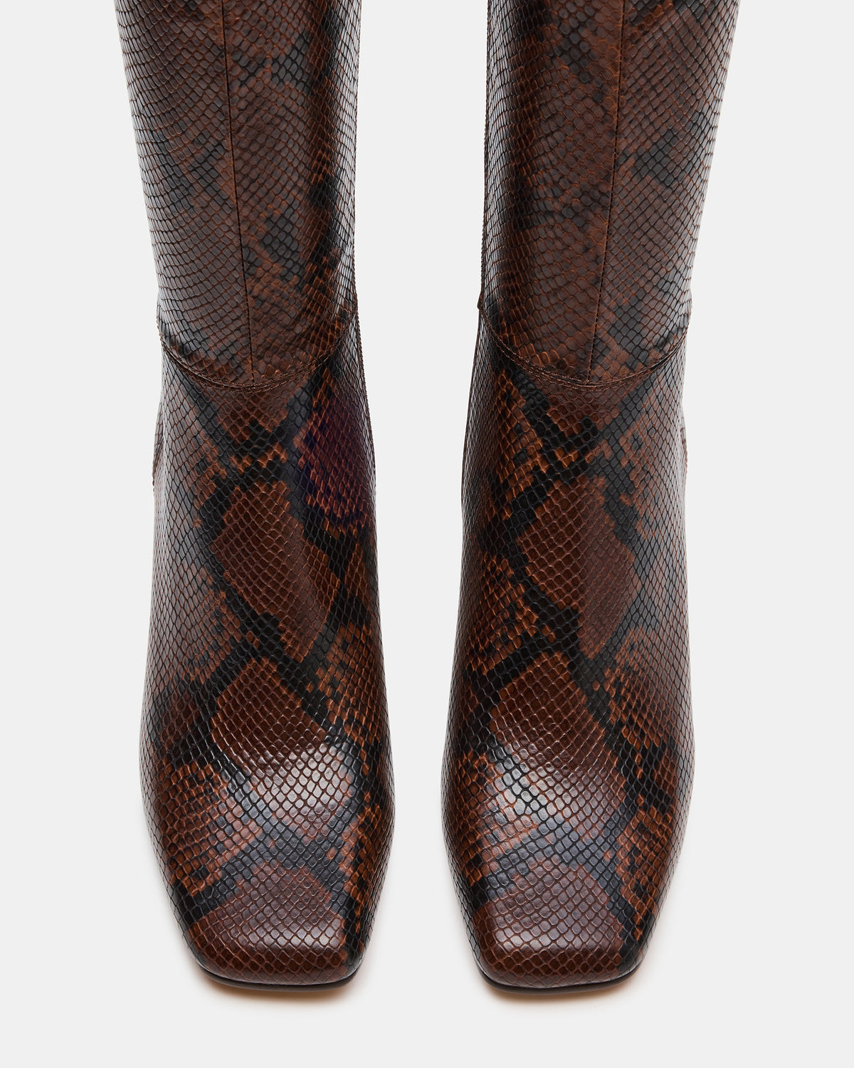 Steve Madden ELLIOT Brown Snake Square-Toe Knee-High Block Heel Women's Boot