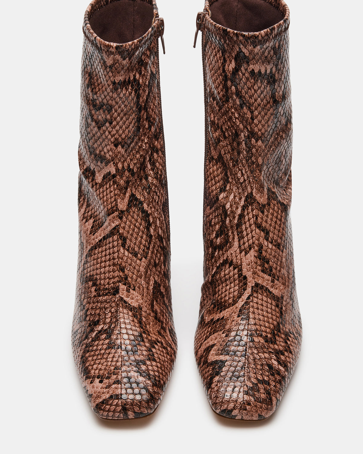 Steve Madden HUSH Snake Square Toe Bootie | Women's Ankle Boots