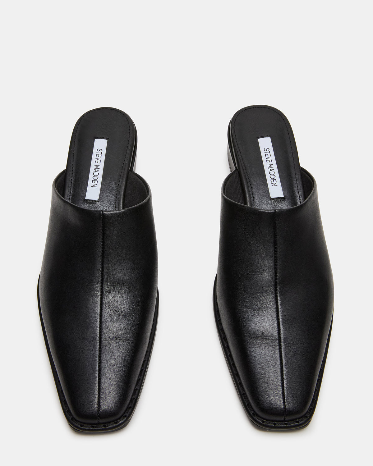 Steve Madden DESSA Black Leather Square-Toe Mule Women's Flat