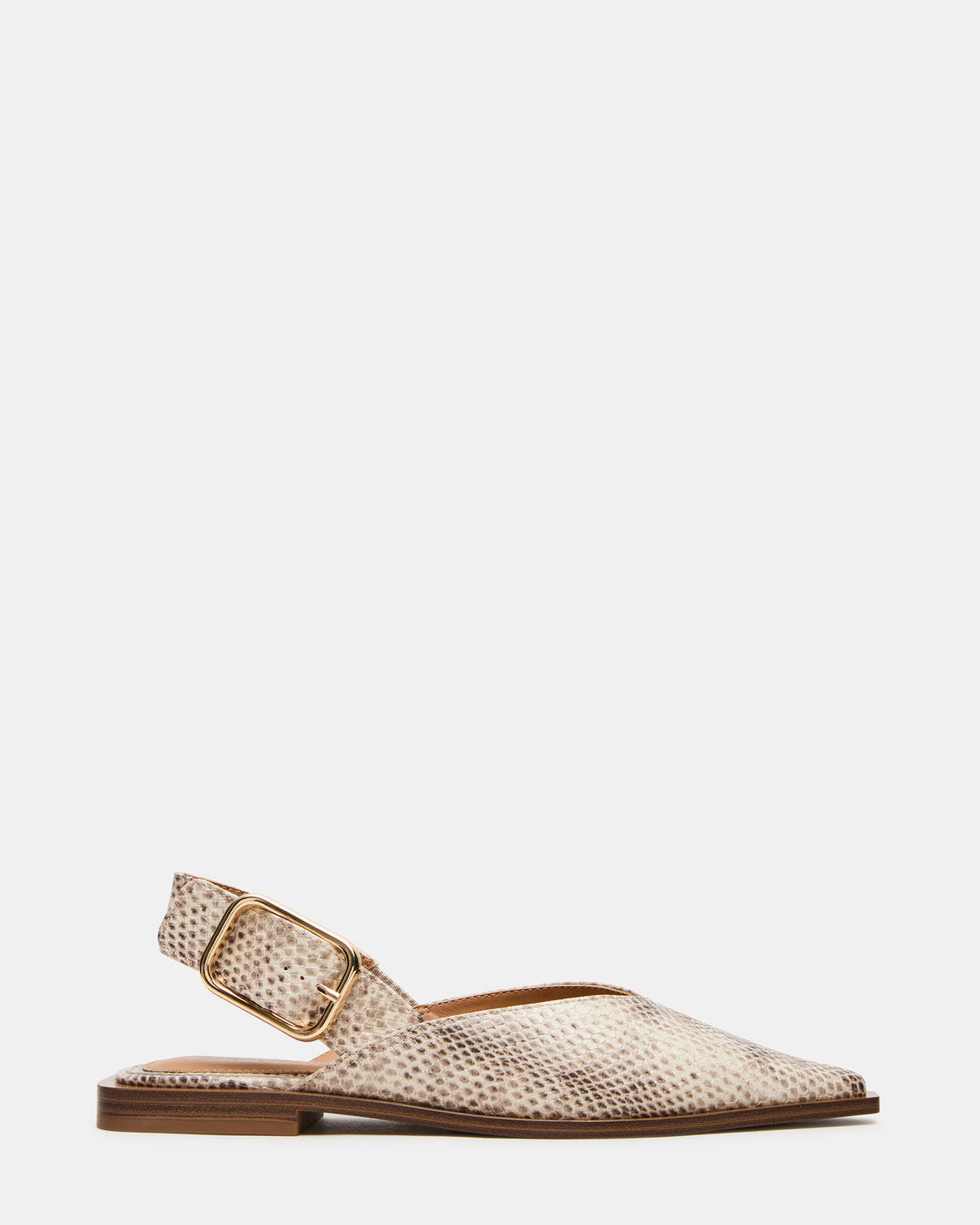 Steve Madden SHAY Snake Pointed-Toe Slingback Ballet Women's Flat