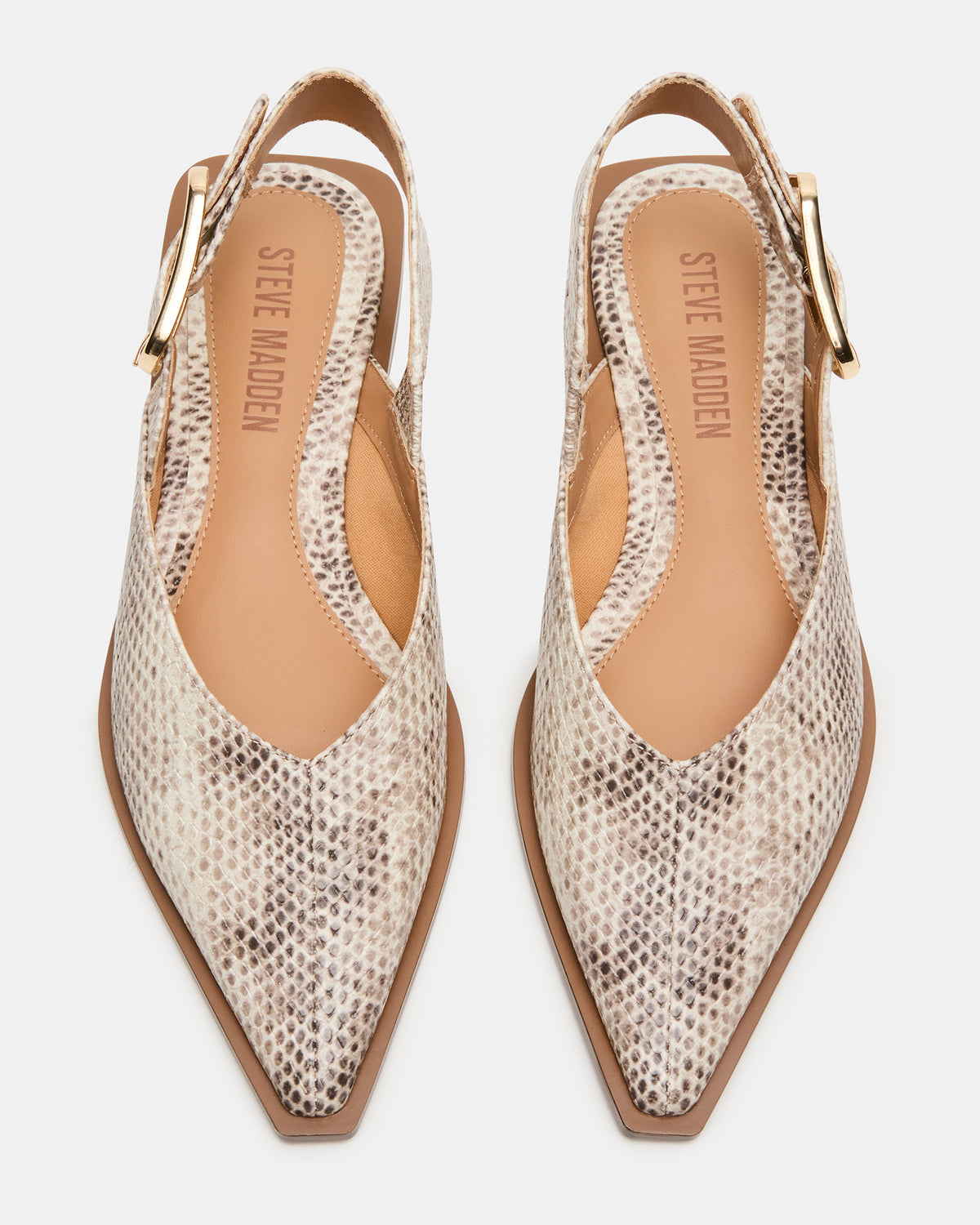Steve Madden SHAY Snake Pointed-Toe Slingback Ballet Women's Flat
