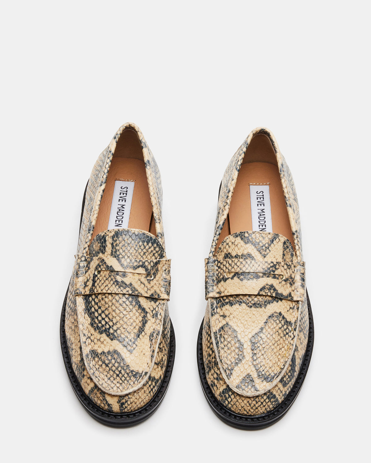 Steve Madden MADISON Snake Women's Penny Loafer