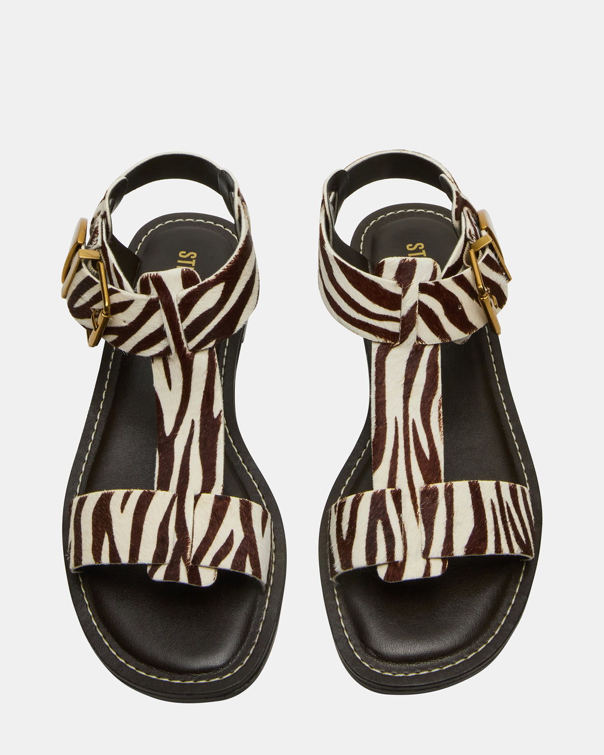 Steve Madden BRAZINN Zebra Strappy Flat Sandal Women's Sandal