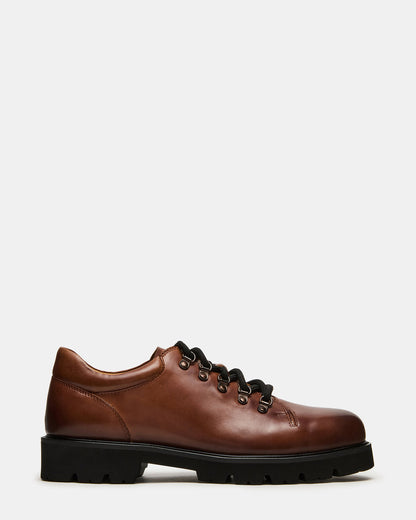 Steve Madden TURBO Dark Tan Lace-Up Dress Shoe