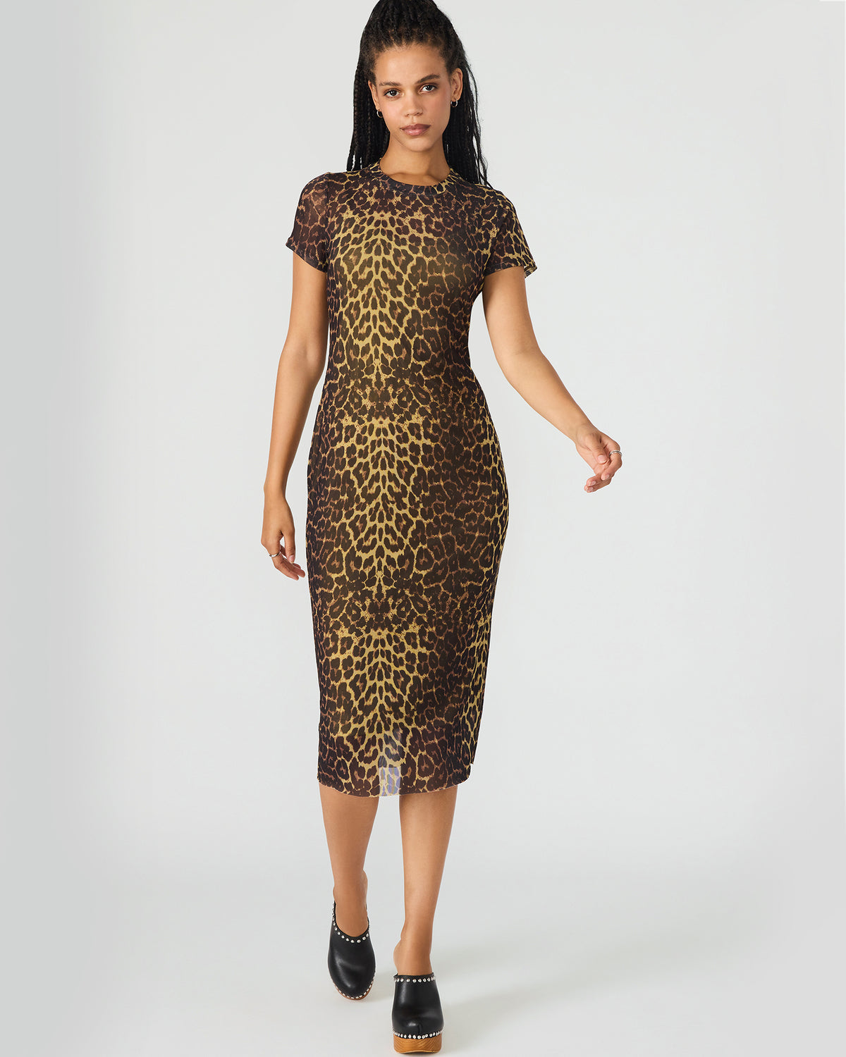 Steve Madden HAILEE Hot Sports Print Mesh Short-Sleeved Bodycon Women's Dress