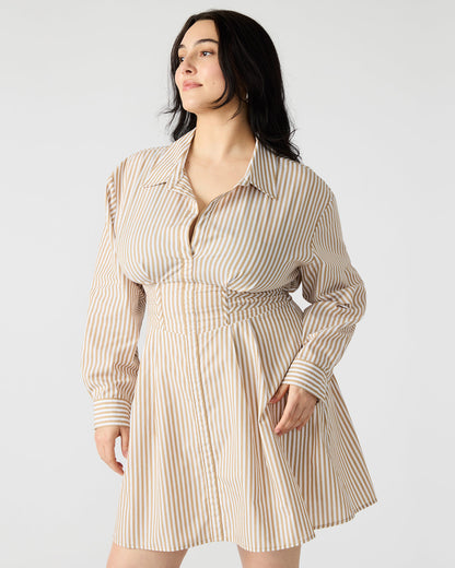 Steve Madden ARIA Taupe Women's Button-Up Mini Dress
