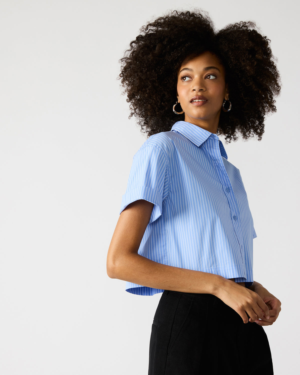 Steve Madden TULA Blue/White Women's Collared Button-Up Pinstripe Top